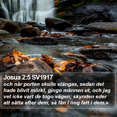 Josua 2:5 SV1917 Bible Verse Image