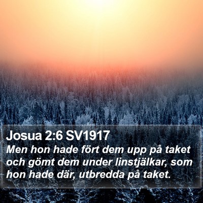 Josua 2:6 SV1917 Bible Verse Image