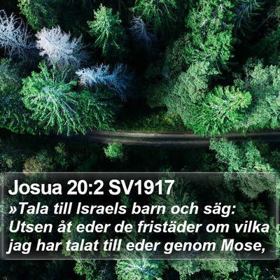 Josua 20:2 SV1917 Bible Verse Image