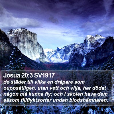 Josua 20:3 SV1917 Bible Verse Image