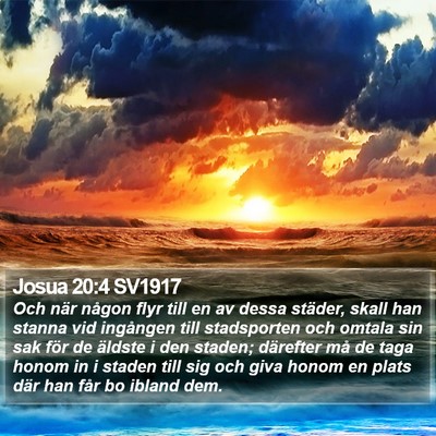 Josua 20:4 SV1917 Bible Verse Image