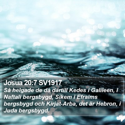 Josua 20:7 SV1917 Bible Verse Image