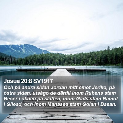 Josua 20:8 SV1917 Bible Verse Image