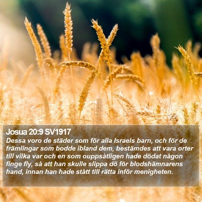 Josua 20:9 SV1917 Bible Verse Image