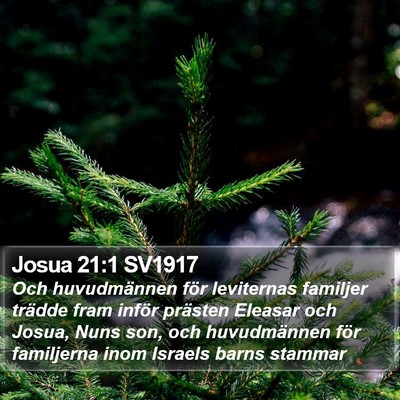 Josua 21:1 SV1917 Bible Verse Image