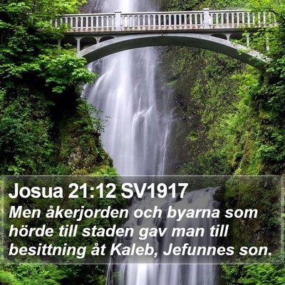 Josua 21:12 SV1917 Bible Verse Image