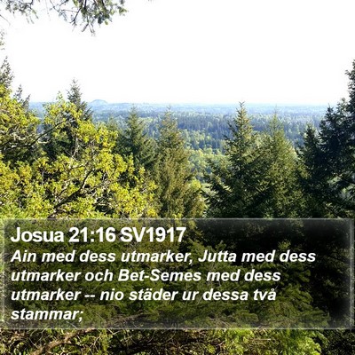 Josua 21:16 SV1917 Bible Verse Image