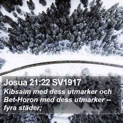Josua 21:22 SV1917 Bible Verse Image