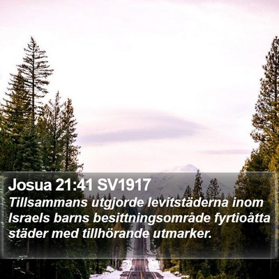 Josua 21:41 SV1917 Bible Verse Image