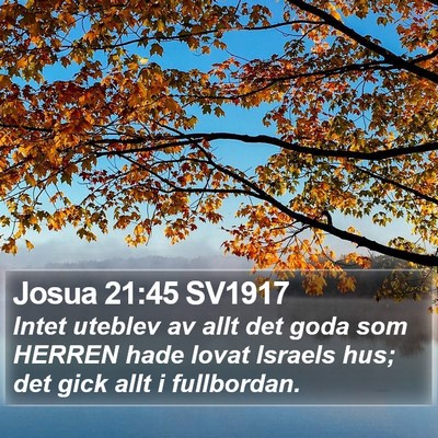 Josua 21:45 SV1917 Bible Verse Image