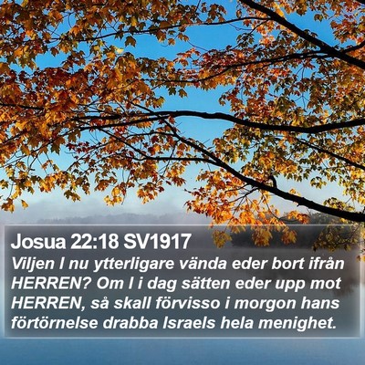 Josua 22:18 SV1917 Bible Verse Image