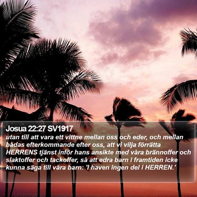Josua 22:27 SV1917 Bible Verse Image