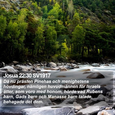 Josua 22:30 SV1917 Bible Verse Image
