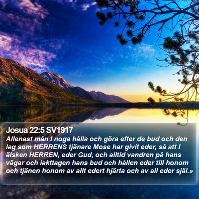 Josua 22:5 SV1917 Bible Verse Image