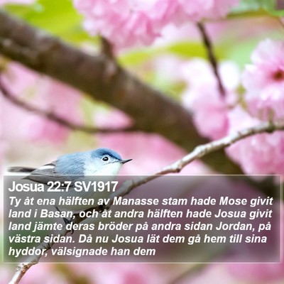 Josua 22:7 SV1917 Bible Verse Image