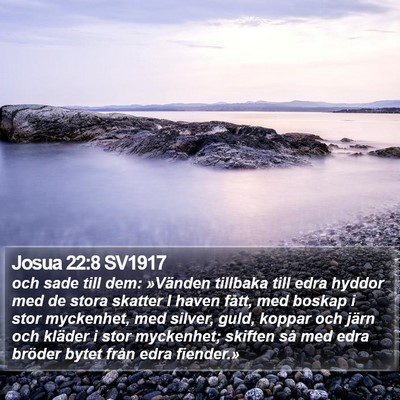 Josua 22:8 SV1917 Bible Verse Image