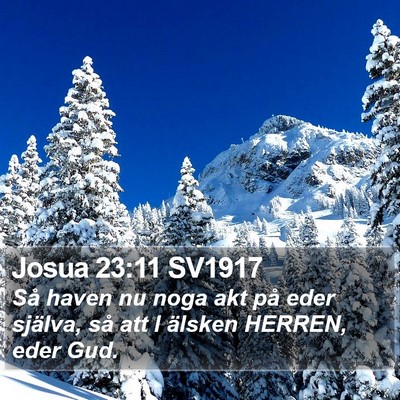 Josua 23:11 SV1917 Bible Verse Image