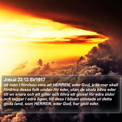 Josua 23:13 SV1917 Bible Verse Image