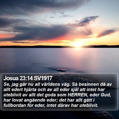 Josua 23:14 SV1917 Bible Verse Image