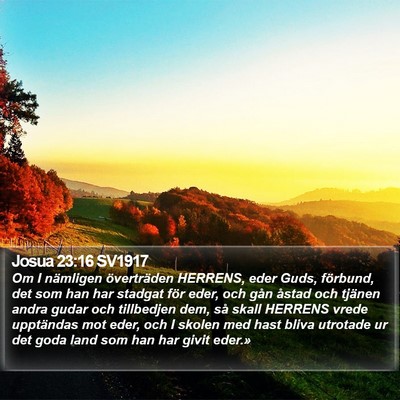 Josua 23:16 SV1917 Bible Verse Image
