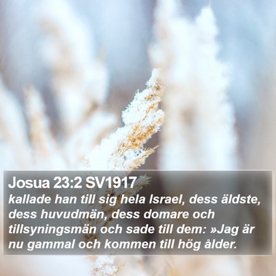 Josua 23:2 SV1917 Bible Verse Image