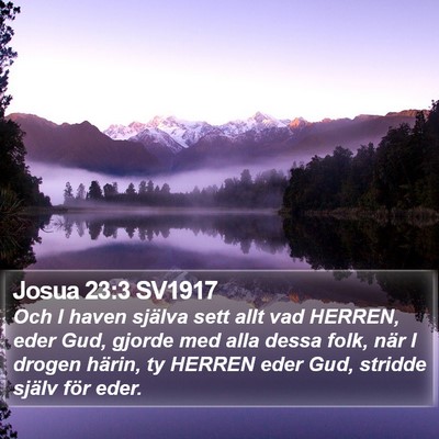 Josua 23:3 SV1917 Bible Verse Image