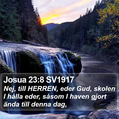 Josua 23:8 SV1917 Bible Verse Image