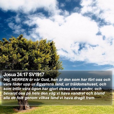 Josua 24:17 SV1917 Bible Verse Image