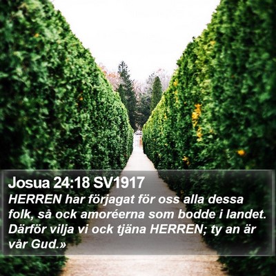 Josua 24:18 SV1917 Bible Verse Image