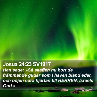 Josua 24:23 SV1917 Bible Verse Image