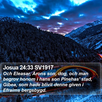Josua 24:33 SV1917 Bible Verse Image