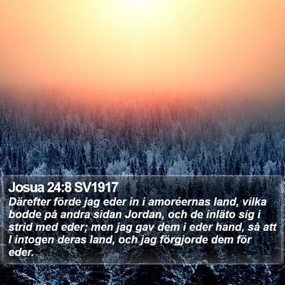 Josua 24:8 SV1917 Bible Verse Image