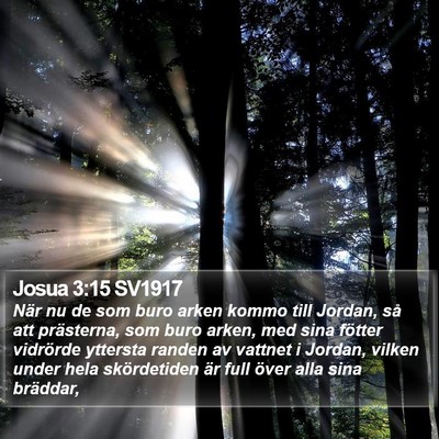 Josua 3:15 SV1917 Bible Verse Image