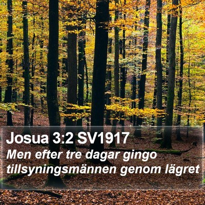 Josua 3:2 SV1917 Bible Verse Image