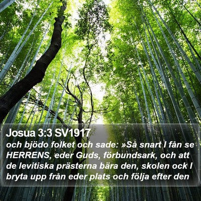Josua 3:3 SV1917 Bible Verse Image