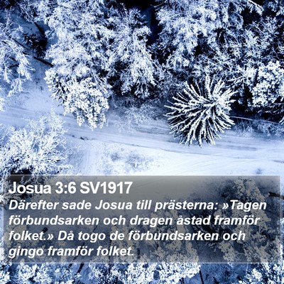 Josua 3:6 SV1917 Bible Verse Image