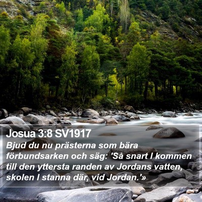 Josua 3:8 SV1917 Bible Verse Image