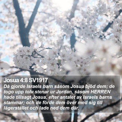 Josua 4:8 SV1917 Bible Verse Image