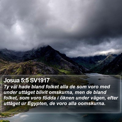 Josua 5:5 SV1917 Bible Verse Image