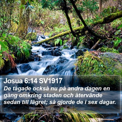Josua 6:14 SV1917 Bible Verse Image