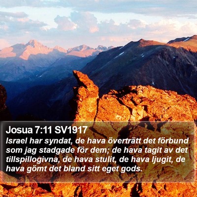 Josua 7:11 SV1917 Bible Verse Image