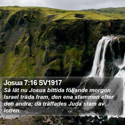 Josua 7:16 SV1917 Bible Verse Image
