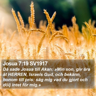 Josua 7:19 SV1917 Bible Verse Image