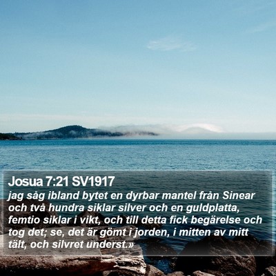 Josua 7:21 SV1917 Bible Verse Image