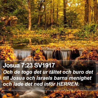 Josua 7:23 SV1917 Bible Verse Image