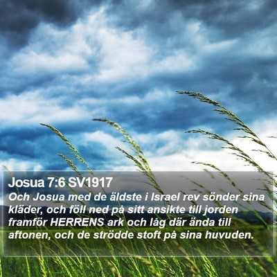 Josua 7:6 SV1917 Bible Verse Image