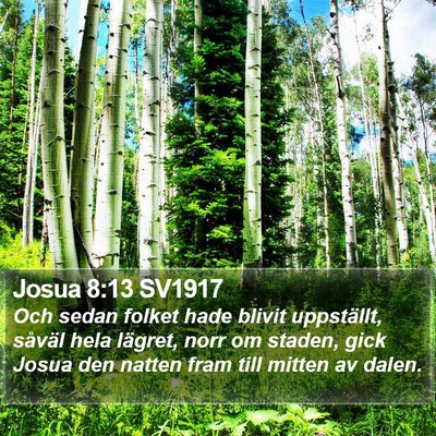 Josua 8:13 SV1917 Bible Verse Image
