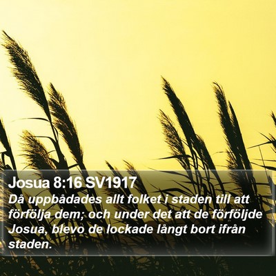 Josua 8:16 SV1917 Bible Verse Image