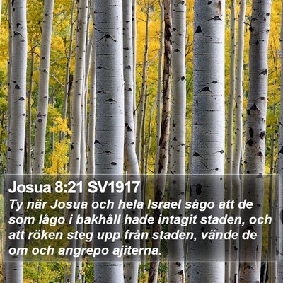 Josua 8:21 SV1917 Bible Verse Image