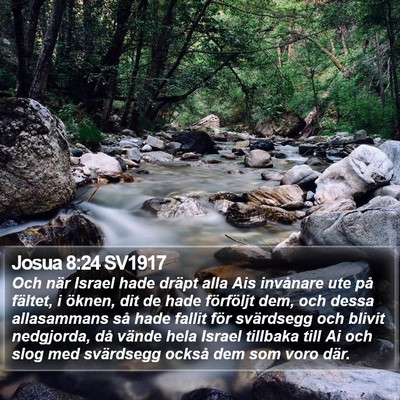Josua 8:24 SV1917 Bible Verse Image